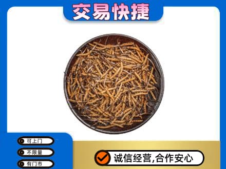 西宁回收散虫草