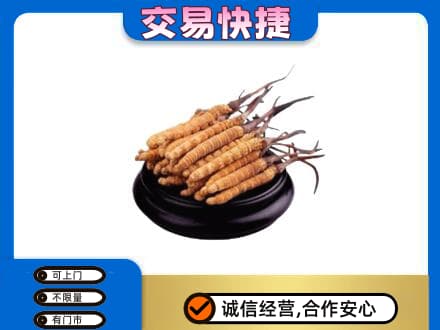 西宁高价回收冬虫夏草多少钱每克